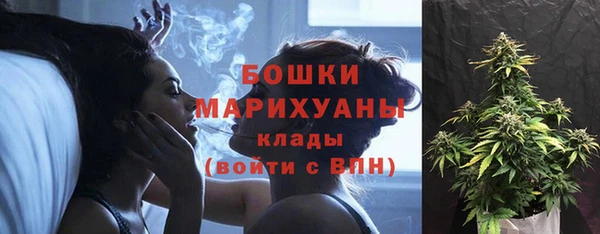 ECSTASY Бронницы